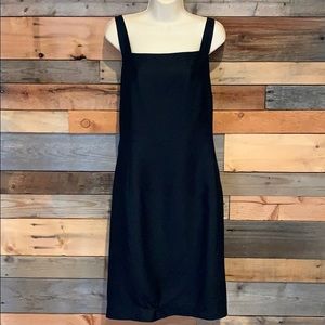 Ann Taylor 100% SILK Dress